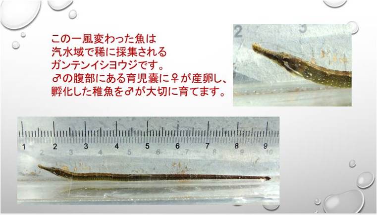 �����̏����ꂽ��

AI �����R���e���c�͌����܂މ\��������܂��B