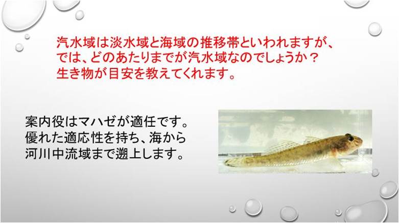 �e�L�X�g

AI �����R���e���c�͌����܂މ\��������܂��B