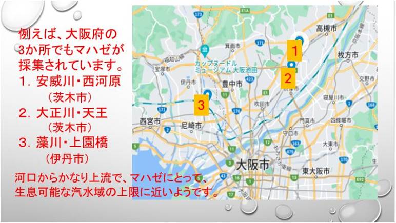 �}�b�v

AI �����R���e���c�͌����܂މ\��������܂��B